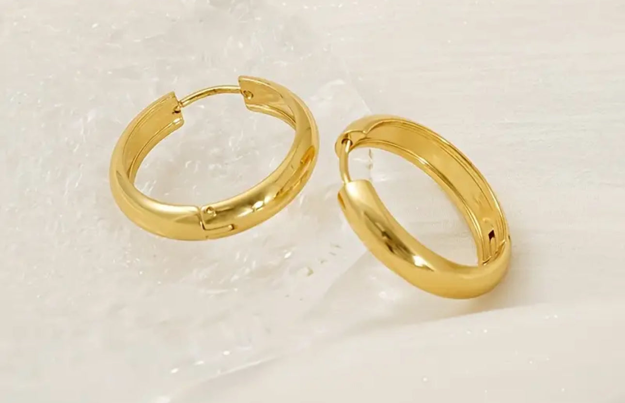Stainless steel 18k earrings gold