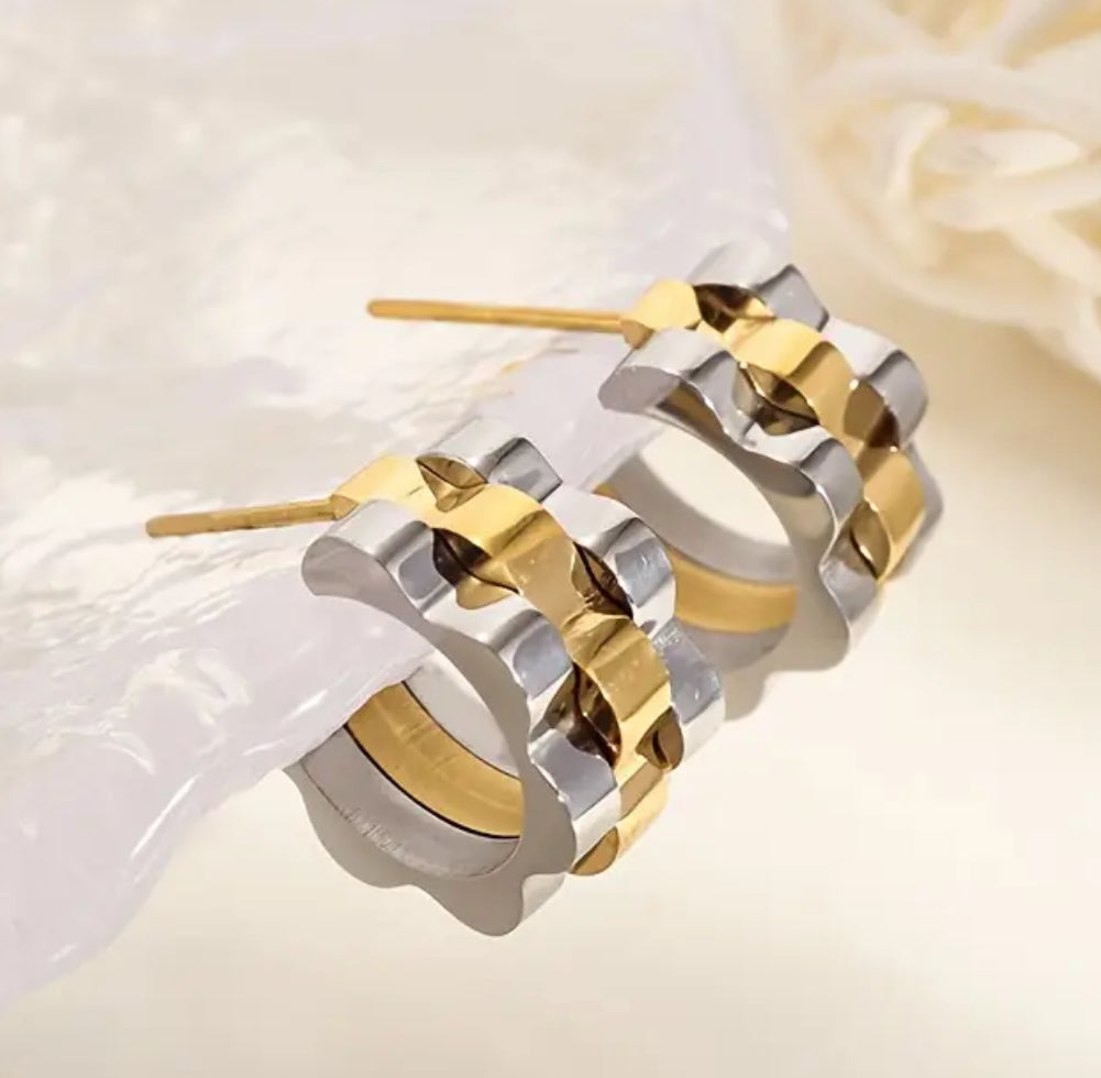 Stainless steel earrings